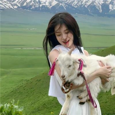 无悔追踪