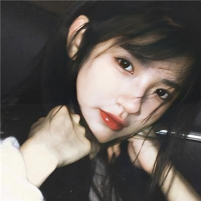智叻狗仔队